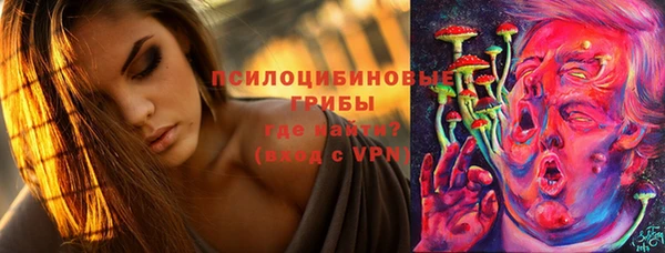 mdpv Алзамай