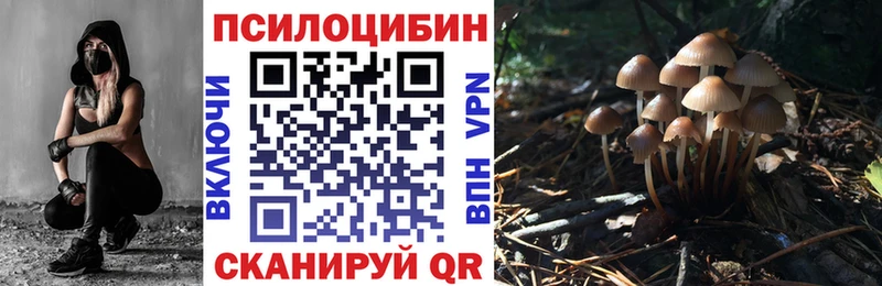 купить  сайты  Кимры  Галлюциногенные грибы Cubensis 